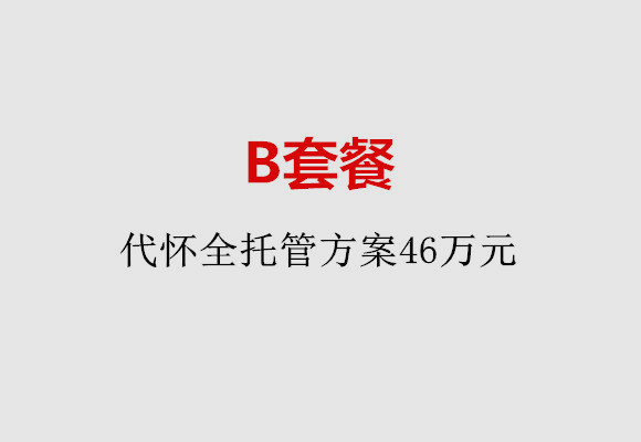 烟台B套餐：代怀全托管方案46万元